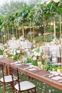 1209 creative phoenix 7